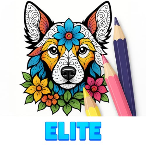 Mandala Colorear Libro: Pintar por Número y Juegos Relajantes de Dibujo