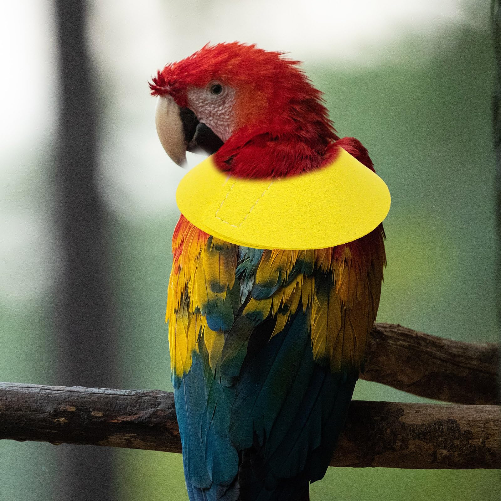POPETPOP Bird Recovery Collar: Microfiber Leather Anti-Biting Neck Cone for Parrot Budgie Lovebird Wound Healing Protective Elizabeth Collar - Image 2
