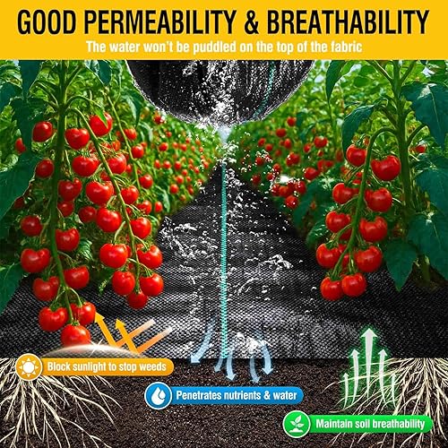 Miniatura 3 de Tela de barrera de malezas de 3 pies x 100 pies, resistente, tela geotextil tejida para cama de flores, cubierta de suelo de tela para entrada (3.2