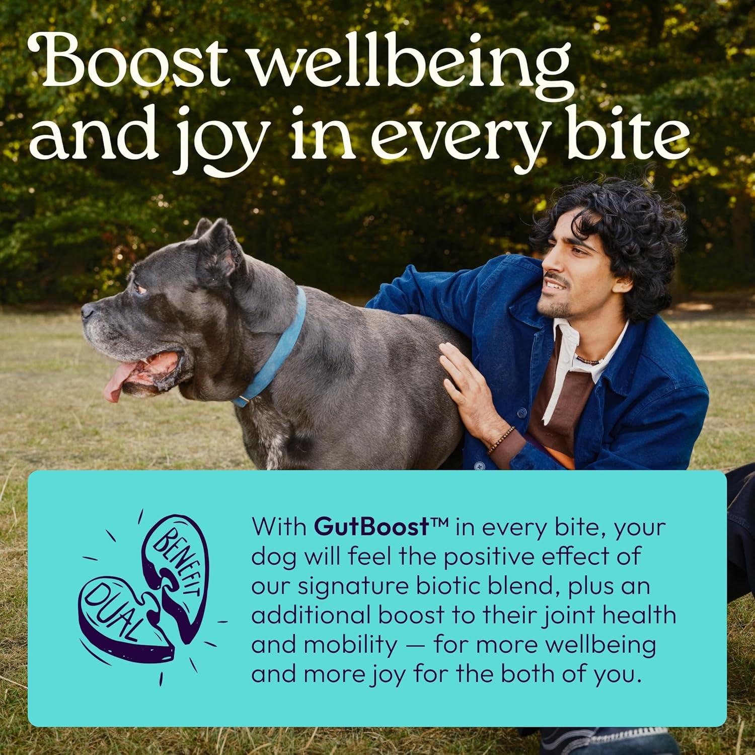 New! WellJoy Dog Supplement Joint+ GutBoost | Dog Health Supplement | Supports Healthy Flexible Joints | Dual-Benefit GutBoost Formulation | Vet Formulated | USA Made | Chicken Flavor | 90 Soft Chews