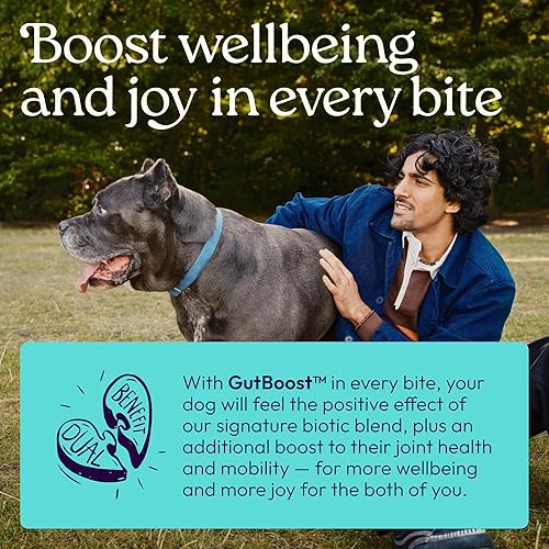 Miniatura 4 de WellJoy Suplemento para perros Joint+ GutBoost  Suplemento de salud para perros  Apoya articulaciones flexibles saludables  Formulación GutBoost de