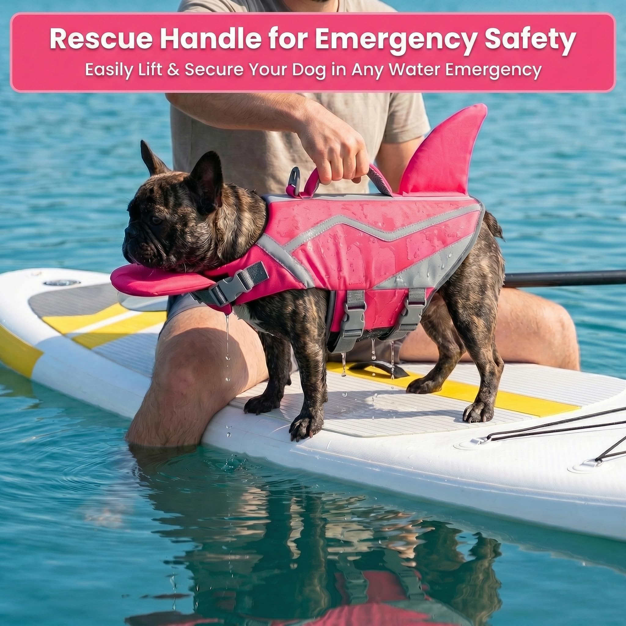 Doglay Gilet de sauvetage pour chien avec tour de cou amovible, flottabilité élevée réglable avec poignée de sauvetage pour la natation et le bateau pour chiens