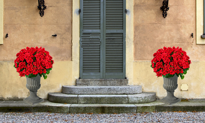 ぬいぐるみ Botanize Pachypatchy Large size ぬいぐるみ Botanize Pachypatchy Large size BOTANIZE X