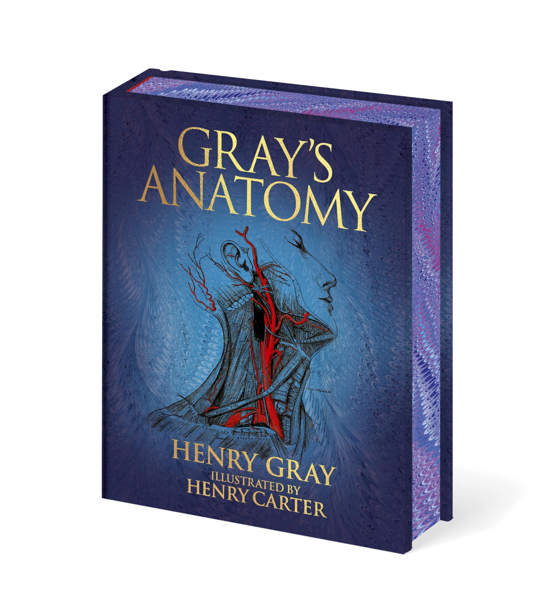 Grays Anatomy