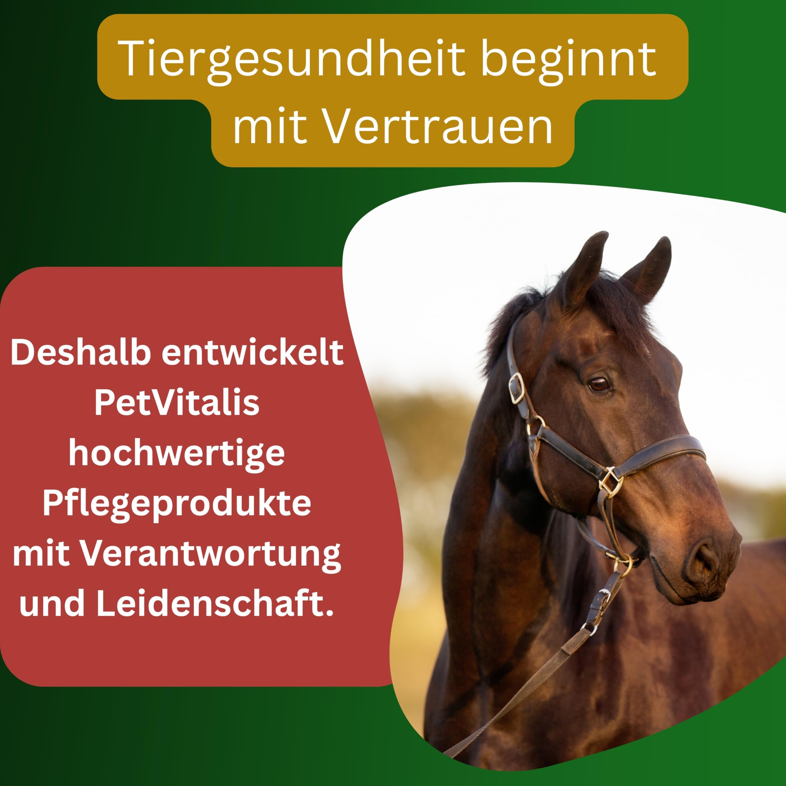 Hornpads Elite – Horn-Pads / Hufpflege Pads für Pferde – Premium Hufpflege bei Strahlfäule / Huffäule, Rissen & Spalten – Hufpads zur gezielten Anwendung im Strahl- und Hufbereich (Hufstrahl) (10)