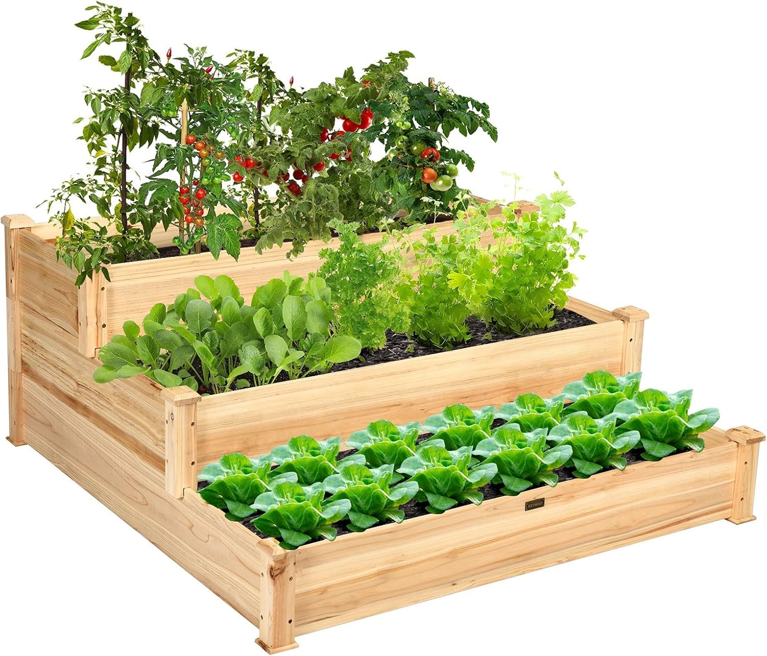 珍品 特大 水鉢 大鉢 花器 大皿 作者不明 直径63cm オブジェ 睡蓮鉢 特大