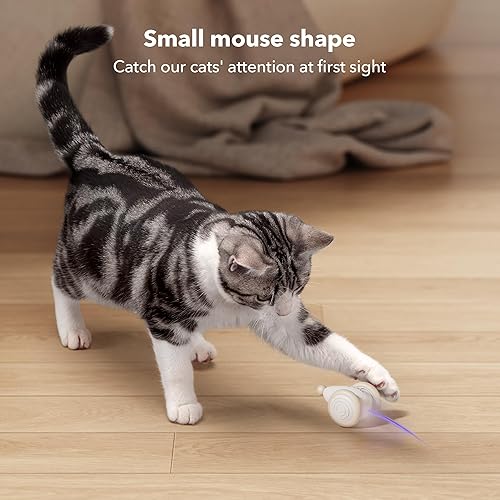 Miniatura 2 de Juguete interactivo para gatos de interior, 2024 actualizado Juguetes para gatitos, juguete automático para gatos con luces LED, juguetes de ratón