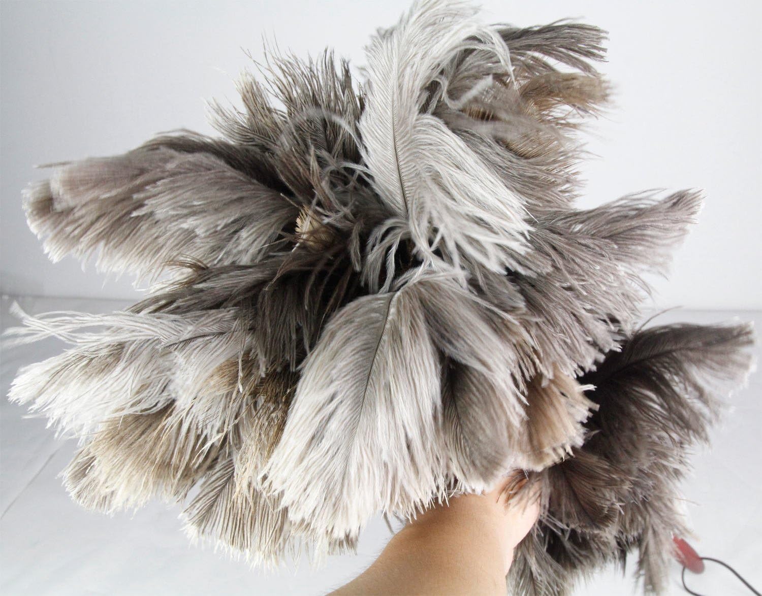 PNBB 16.9" Ostrich Feather Duster with Wooden Handle