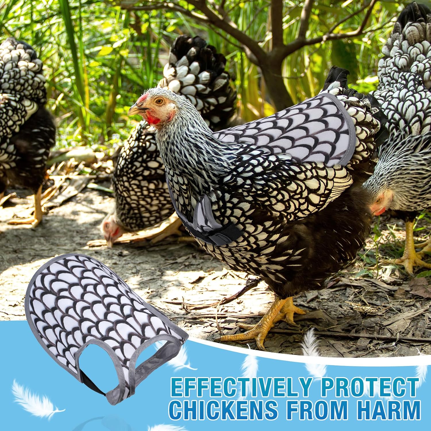 Chicken Saddles for hens, Chicken Hen Mating Saddle