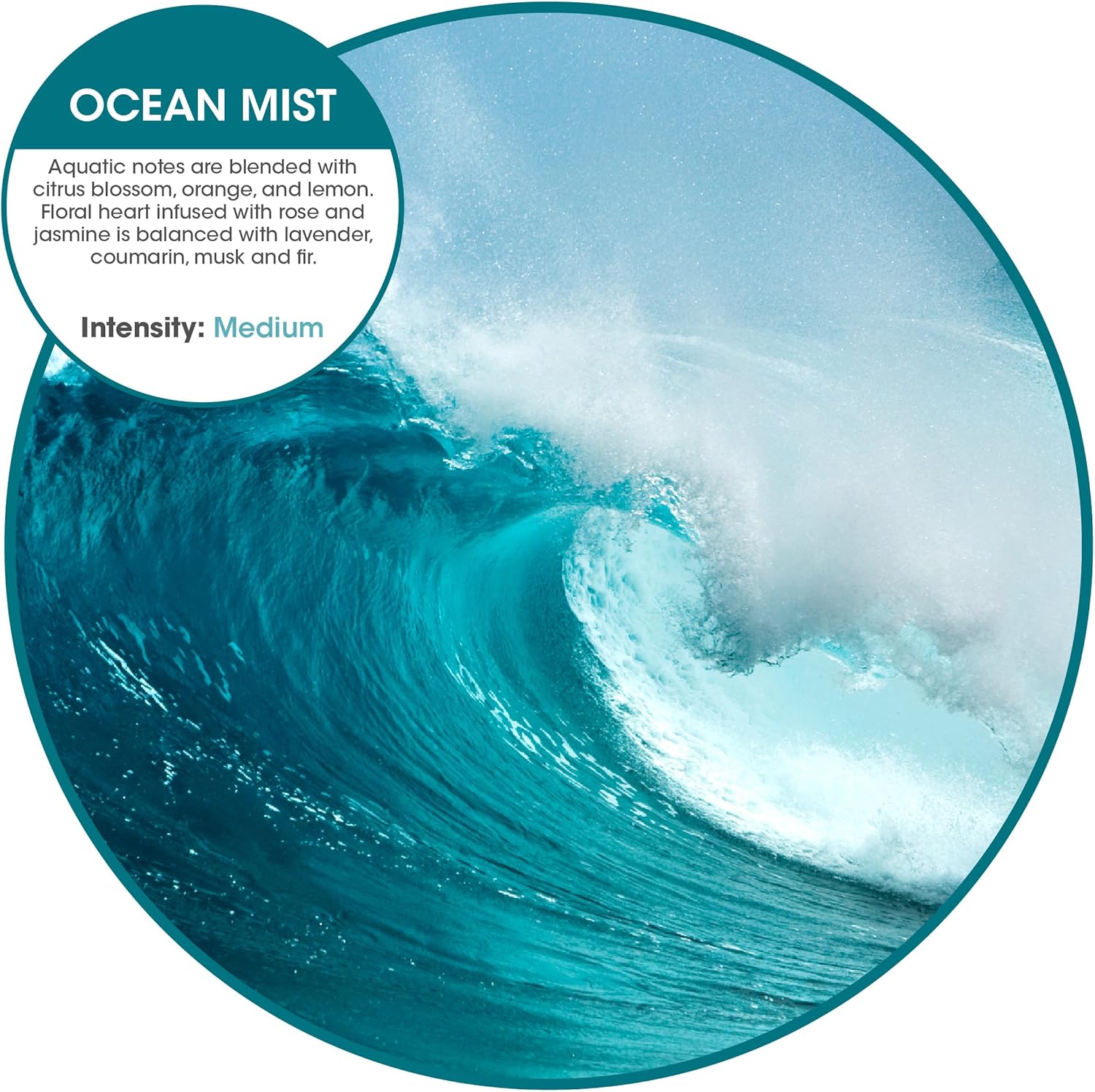 Fresh Products Eco Bowl Clip Air Freshener Versatile Design Toilet Freshener Trash Freshener Chemical Free Natural Oils Discreet Lasts 30 Days Made in the USA Ocean Mist 12 pk