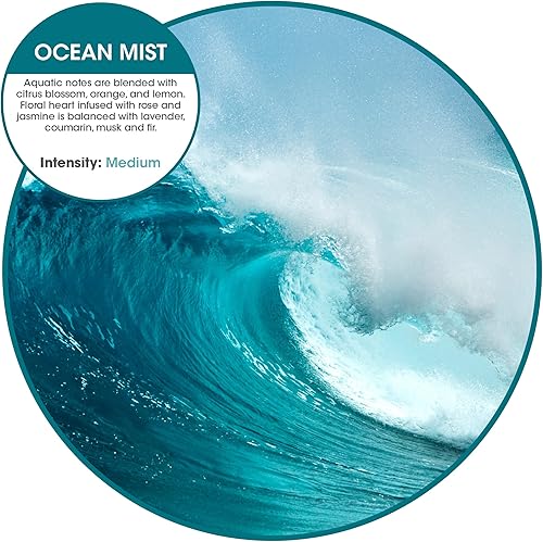 Miniatura 21 de Fresh Products Ambientador ecológico con clip, diseño versátil, ambientador de inodoro, sin químicos, aceites naturales, discreto, dura 30 días