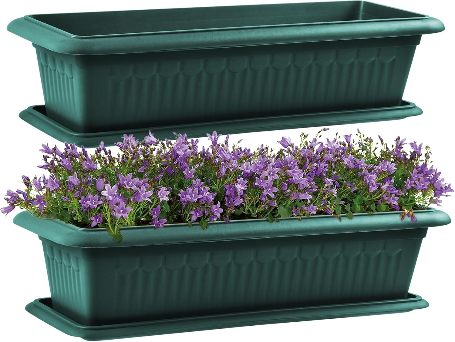 ZENQA 2 x XL Strong Large Trough Planters for Outdoor With Saucer Rectangular 80 cm | Indoor Outdoor Plastic Long Planter Flower Plant Pot | Perfect for Gardens Patios Balconies (2, Green) ZENQA 2 x XL Strong Large Trough Planters for Outdoor With Saucer Rectangular 80 cm | Indoor Outdoor Plastic Long Planter Flower Plant Pot | Perfect for Gardens Patios Balconies (2, Green)