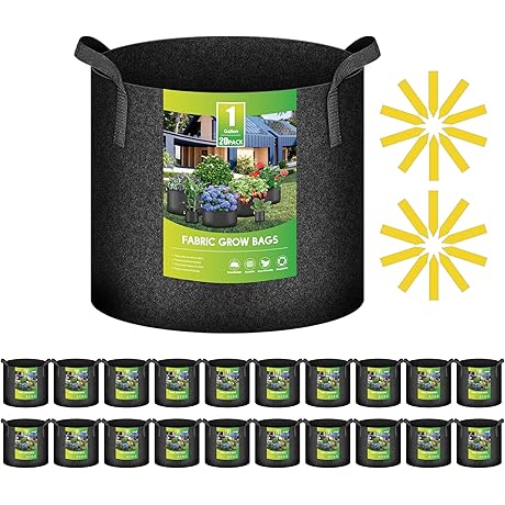 iPower 1 Gallon Grow Bags: Superior Fabric Pots for Thriving Plants
