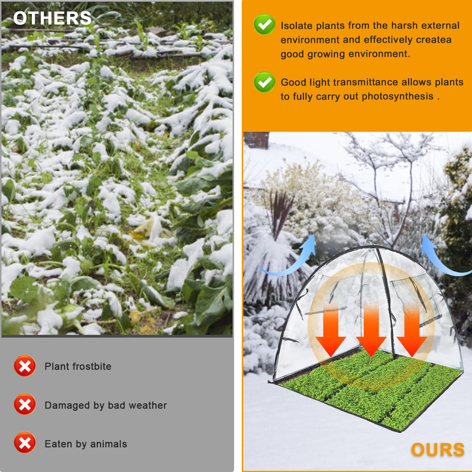 2 Stck berwinterungszelt fr Pflanzen, winterschutz fr kbelpflanzen,  Frostschutz winterschutz fr Pflanzen, berwinterungszelt fr Pflanzen  frostsicher, Wiederverwendbar , 71 * 71 * 75cm : Amazon.de: Garten