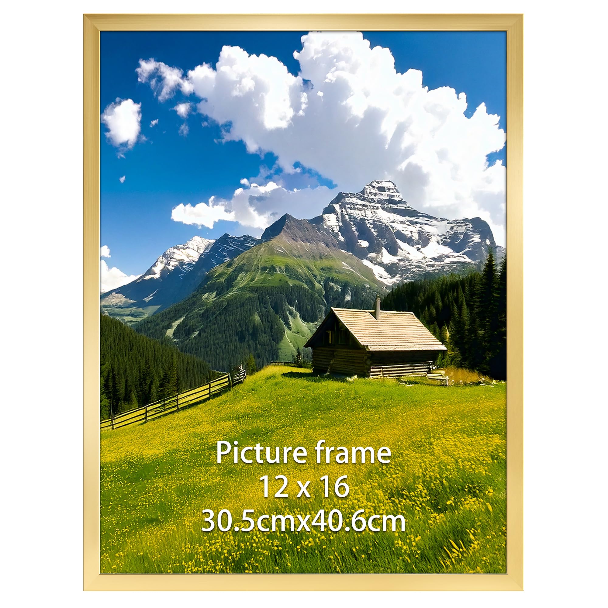 Ditwis 30x40 Picture Frame Gold, 16x12 inch Poster Frame for Horizontal or Vertical Wall Display in Living Room, Office, Gallery