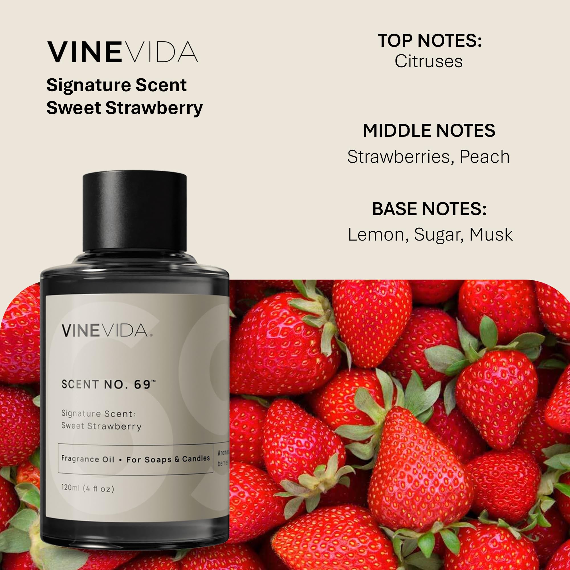 VINEVIDA [113.4 g] Sweet Strawberry Duftöl zur Seifenherstellung Düfte zur Kerzenherstellung, Parfümöle, Sojakerzen, Home Scents Oil Diffuser, Badeduft Bombenöle, Leinenspray, Lotionen,