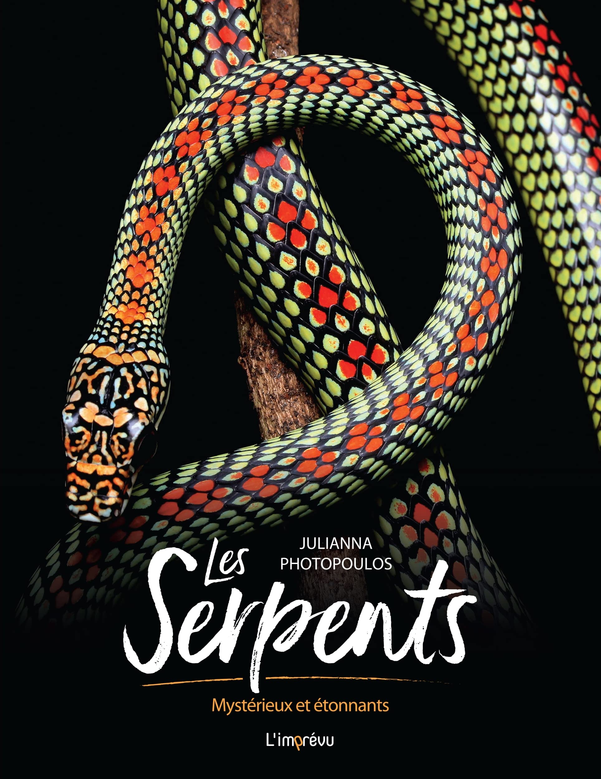Les serpents: Mystérieux et étonnants