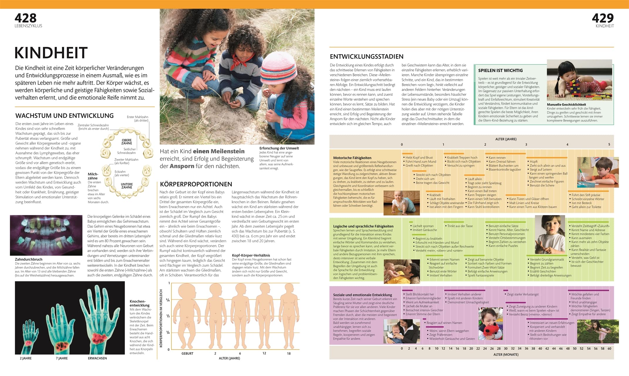 Anatomie und Physiologie: Die große Bild-Enzyklopädie mit über 2000 Abbildungen