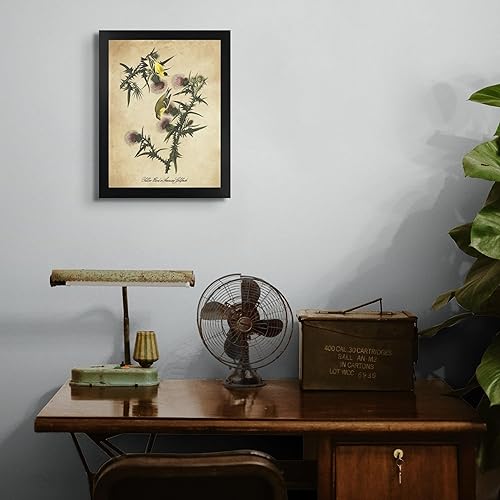 Miniatura 4 de Jilguero americano de James Audubon 12 x 16 con marco biselado negro  Decoración artística enmarcada para pared  Reproducción de pintura fina