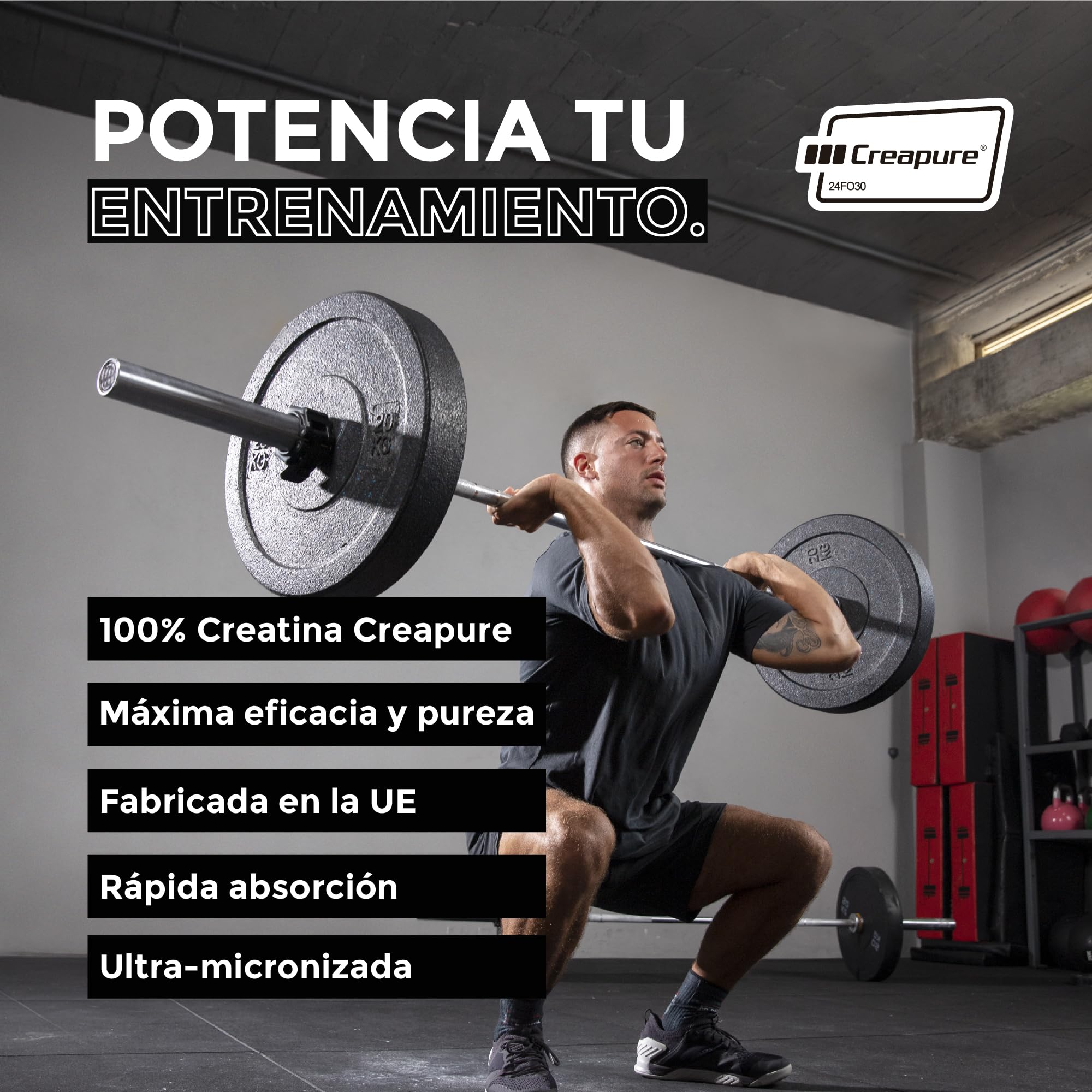 Foodelis Creatina creapure 500g en polvo - 100% creatina monohidratada creapure - Sin sabor, No-GMO, Pura sin aditivos -Incluye dosificador - Alta solubilidad