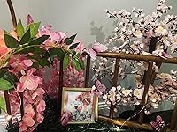 Review Image by Mel Mel