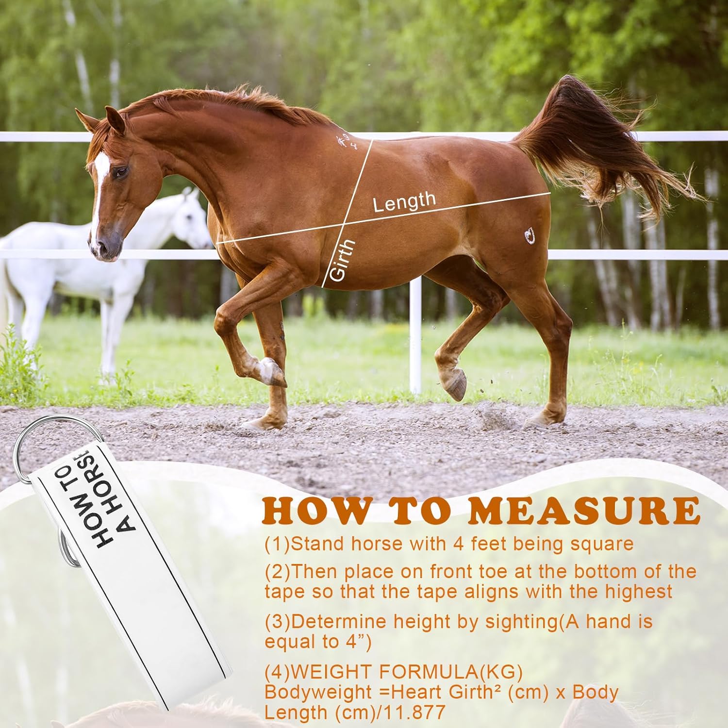 2 PCS Horse Height Measuring Kit - Foldable 91 Inch Tape & Lightweight Aluminum Stick (27.5-74.8 Inch), Accurately Measure Horse Height in Hands (Weighted Base)