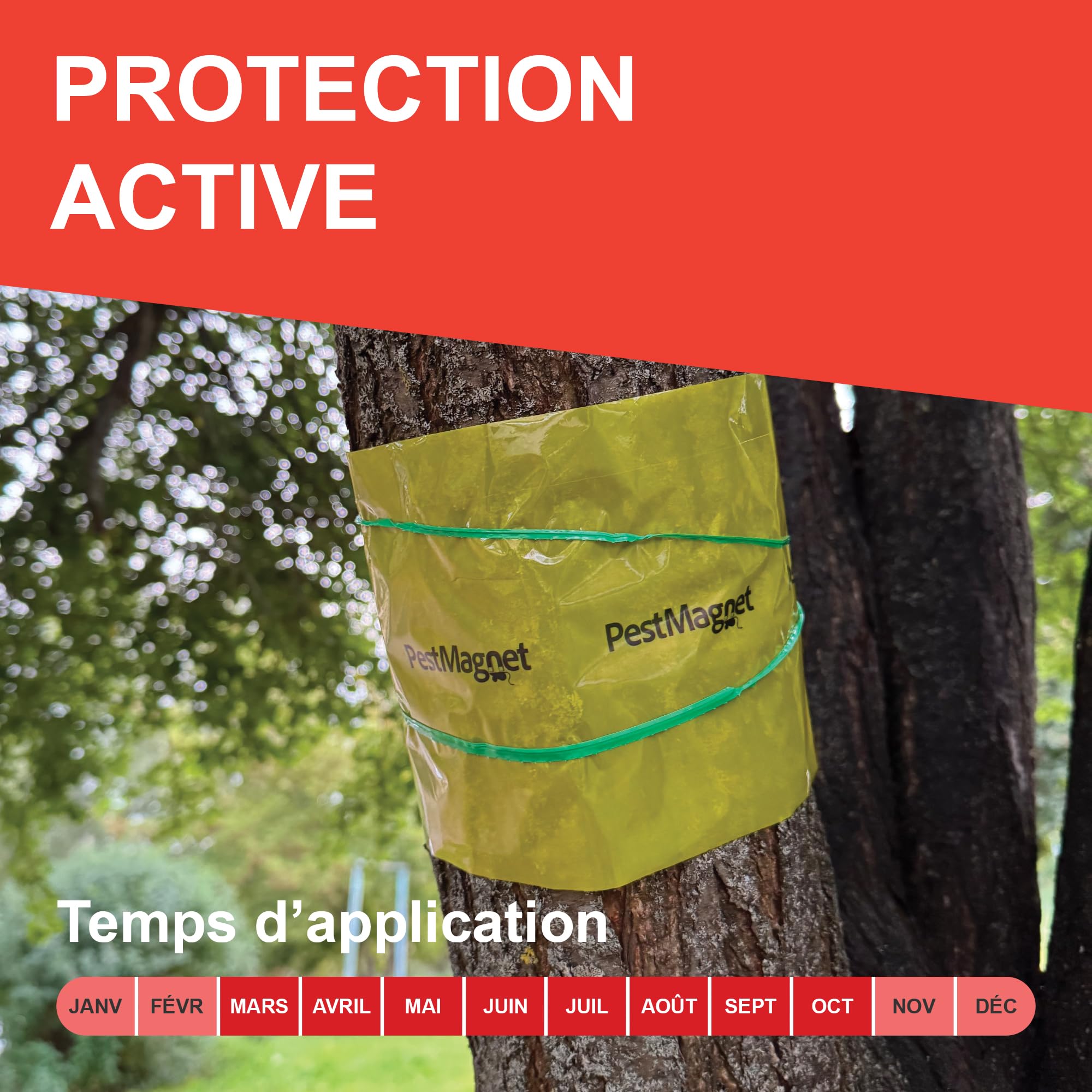Bande de Colle pour Arbres 5 m – Jaune - Piège à Insectes Rampants, Fourmis, Chenilles –Non Toxique, Résistante à l’Eau–Ruban Collant pour Arbres Fruitiers Cerisiers Jardins–Facile à Appliquer
