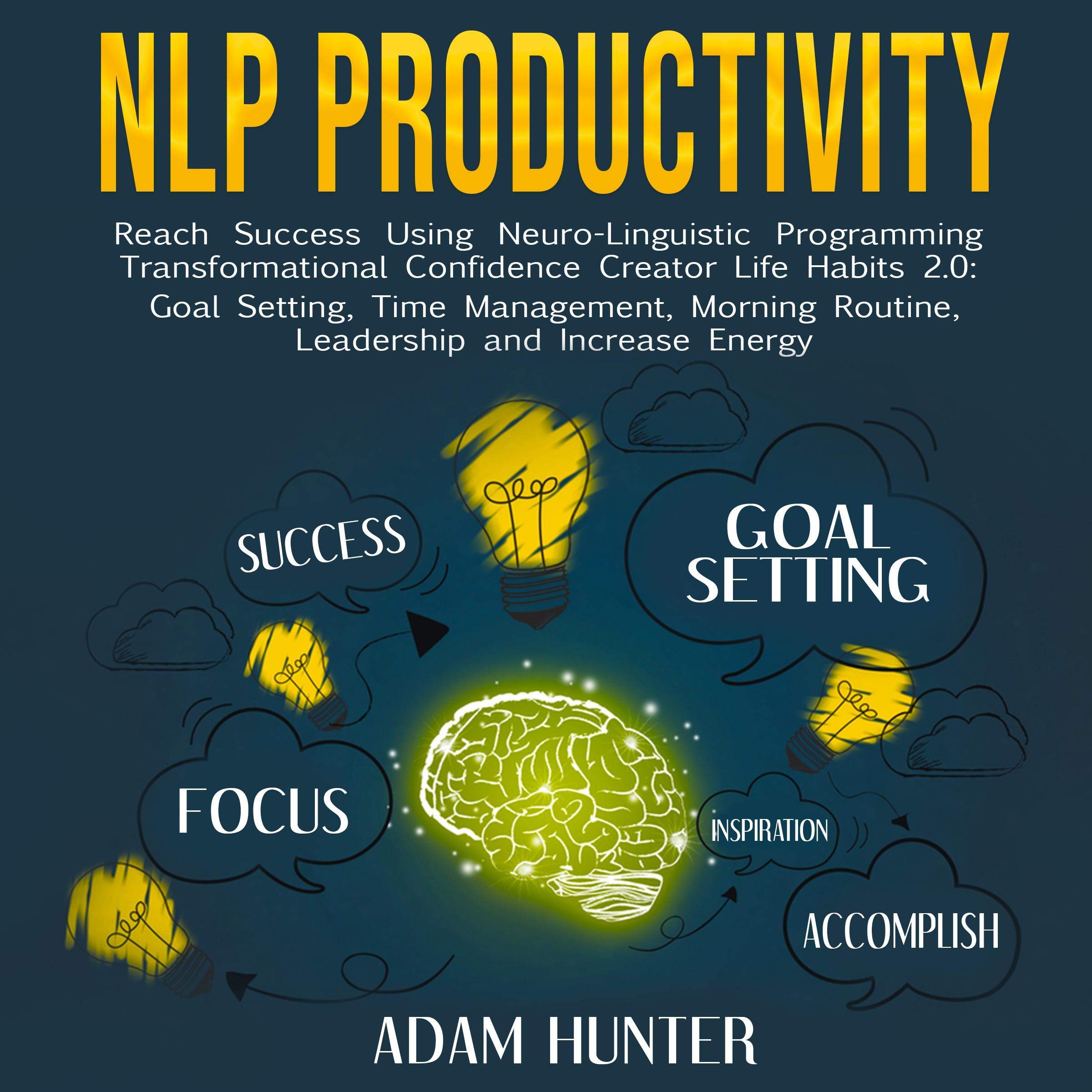 Cover art for NLP Productivity