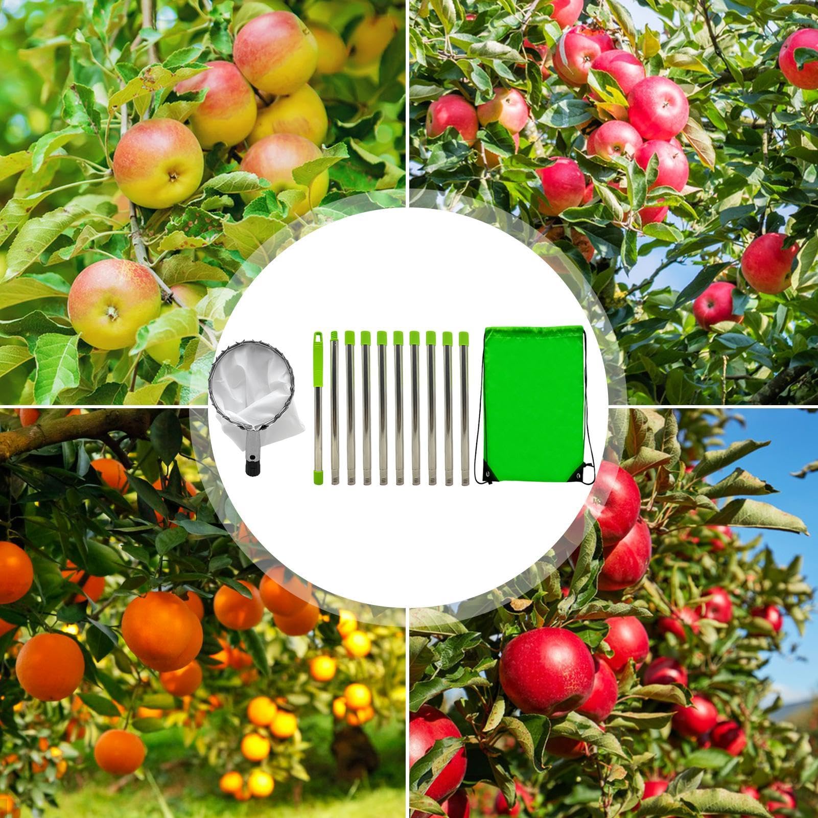 Outil de cueillette de fruits – Cueille-fruits robuste, cueille