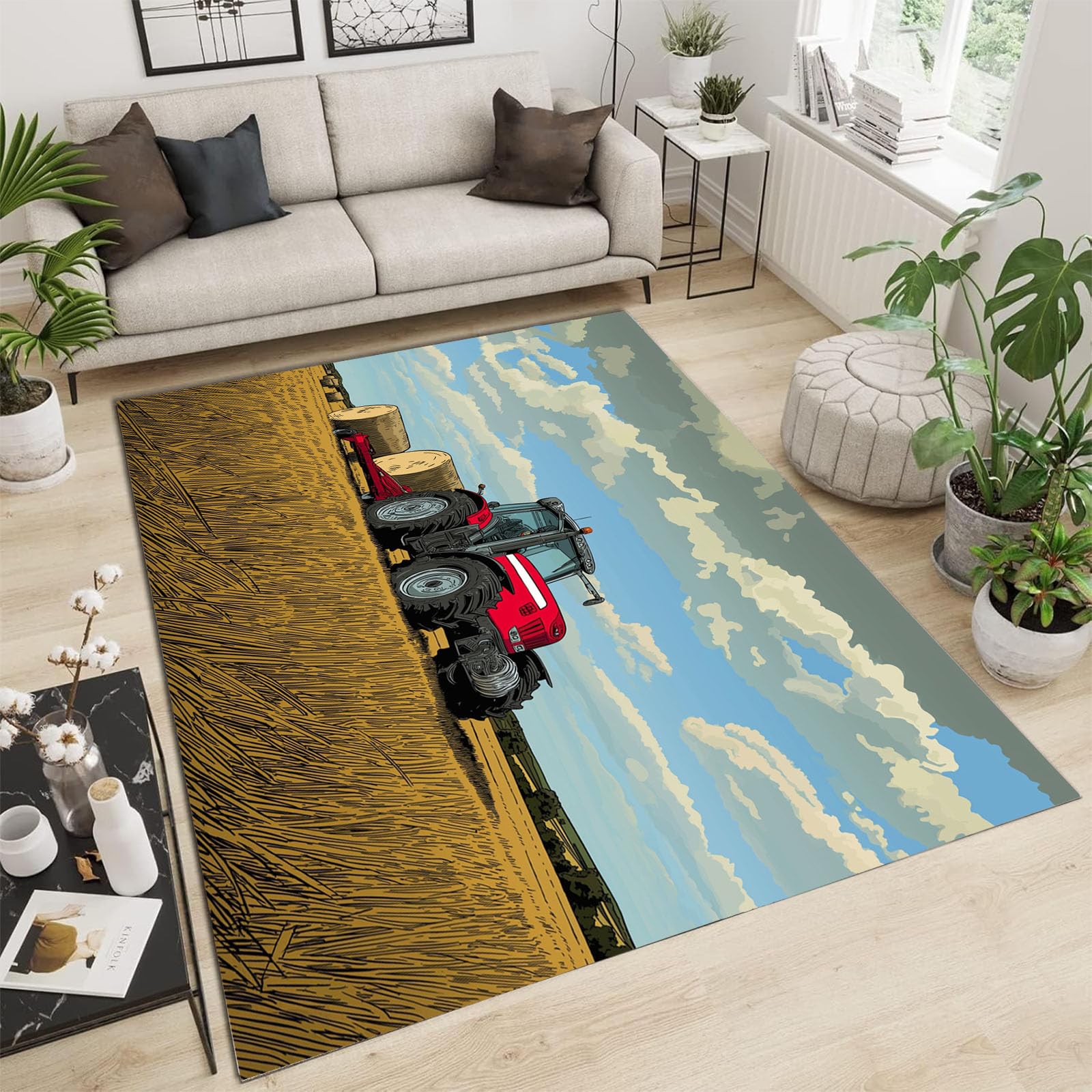 Tapis poils courts lavable grand format 180x270 pour salle à manger et salon moderne