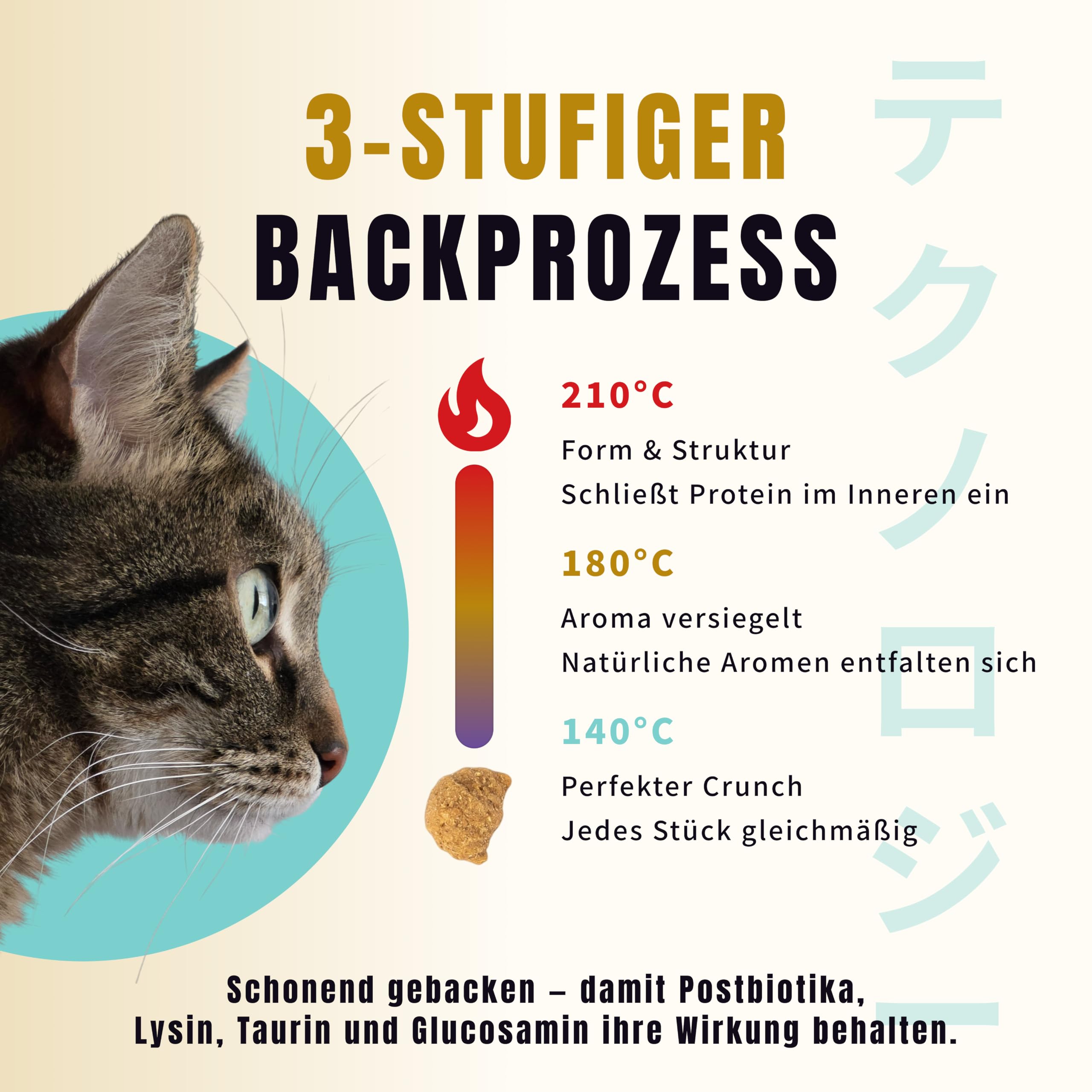 Ofengebackenes Katzenfutter Trocken Hähnchen mit Kolostrum Erwachsene 2kg