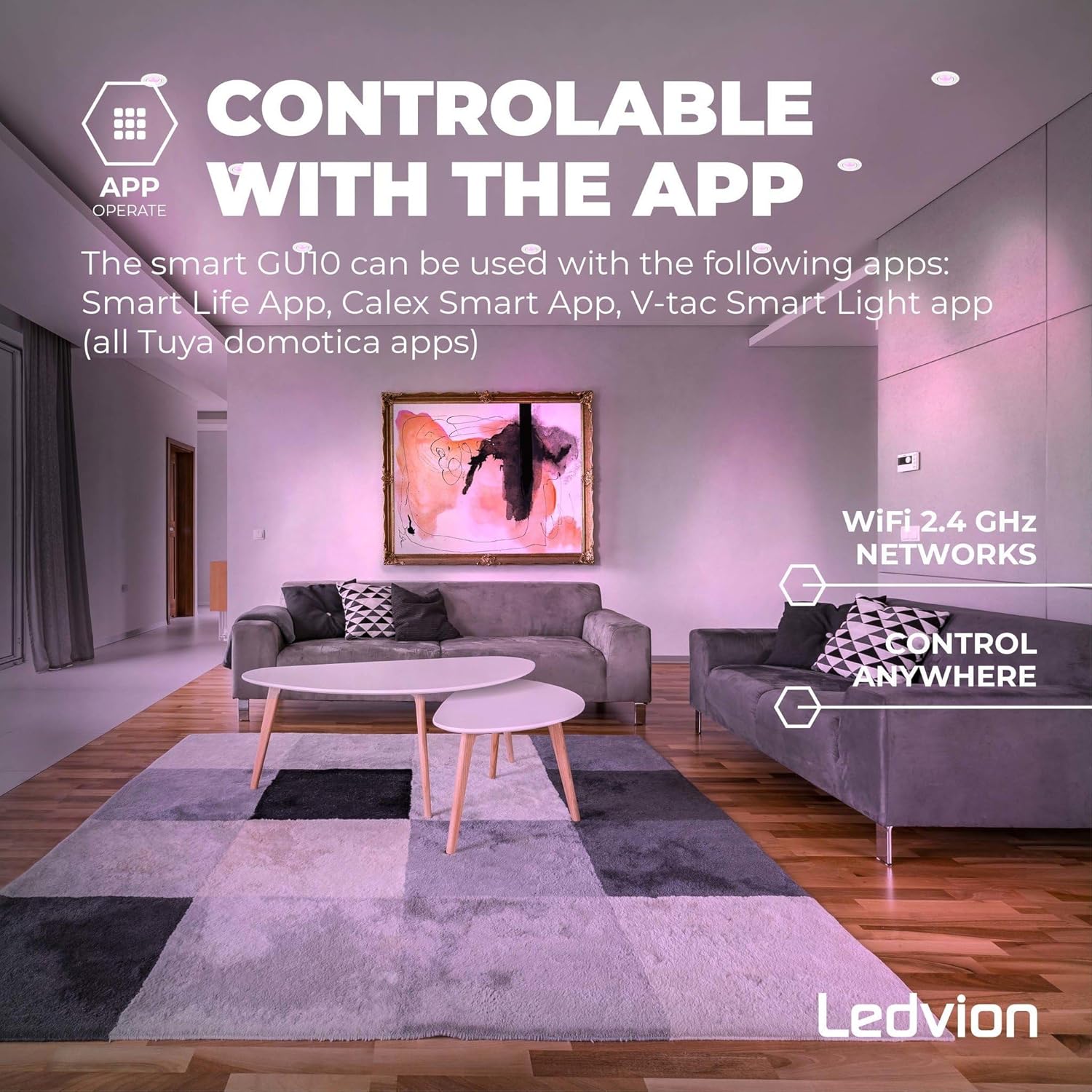 Graphic showing a living room with text 'Controllable with the App' and icons for WiFi 2.4 GHz networks and control anywhere.