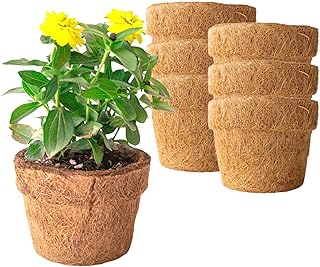 16 Cool Backyard Ideas for Fun Stylish Outdoor Spaces 164 Coconut Fiber Planter Pots - 18 Pack - 5.5 in. Rim by 4.25 in. Tall - Bl...
