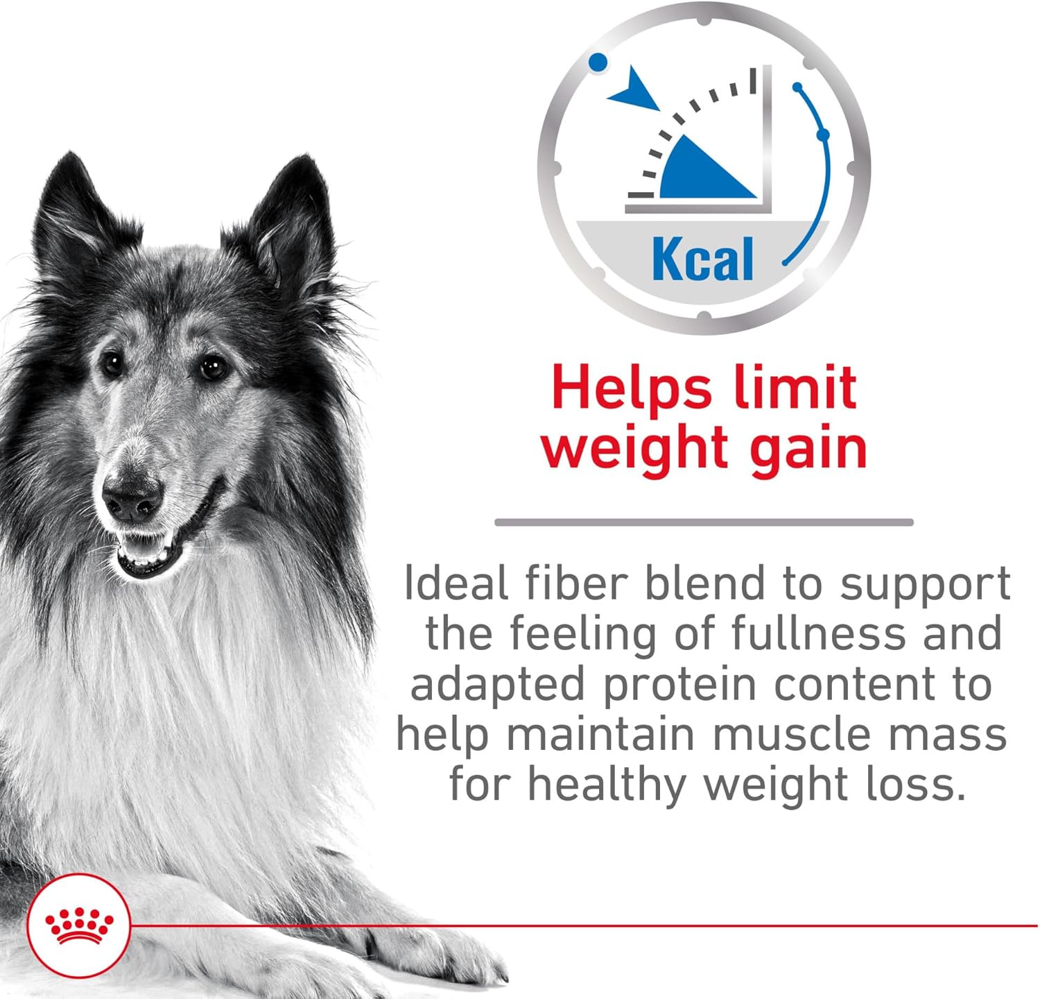 Royal Canin Canine Care Nutrition Large Weight Care Adult Dry Dog Food, 30 lb Bag