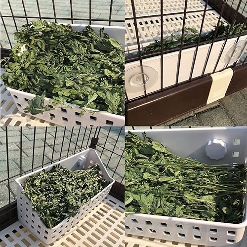 Miniatura 4 de kathson Comedero de heno para conejos, soporte de heno para conejillos de indias, estante de heno de plástico para conejos y animales pequeños