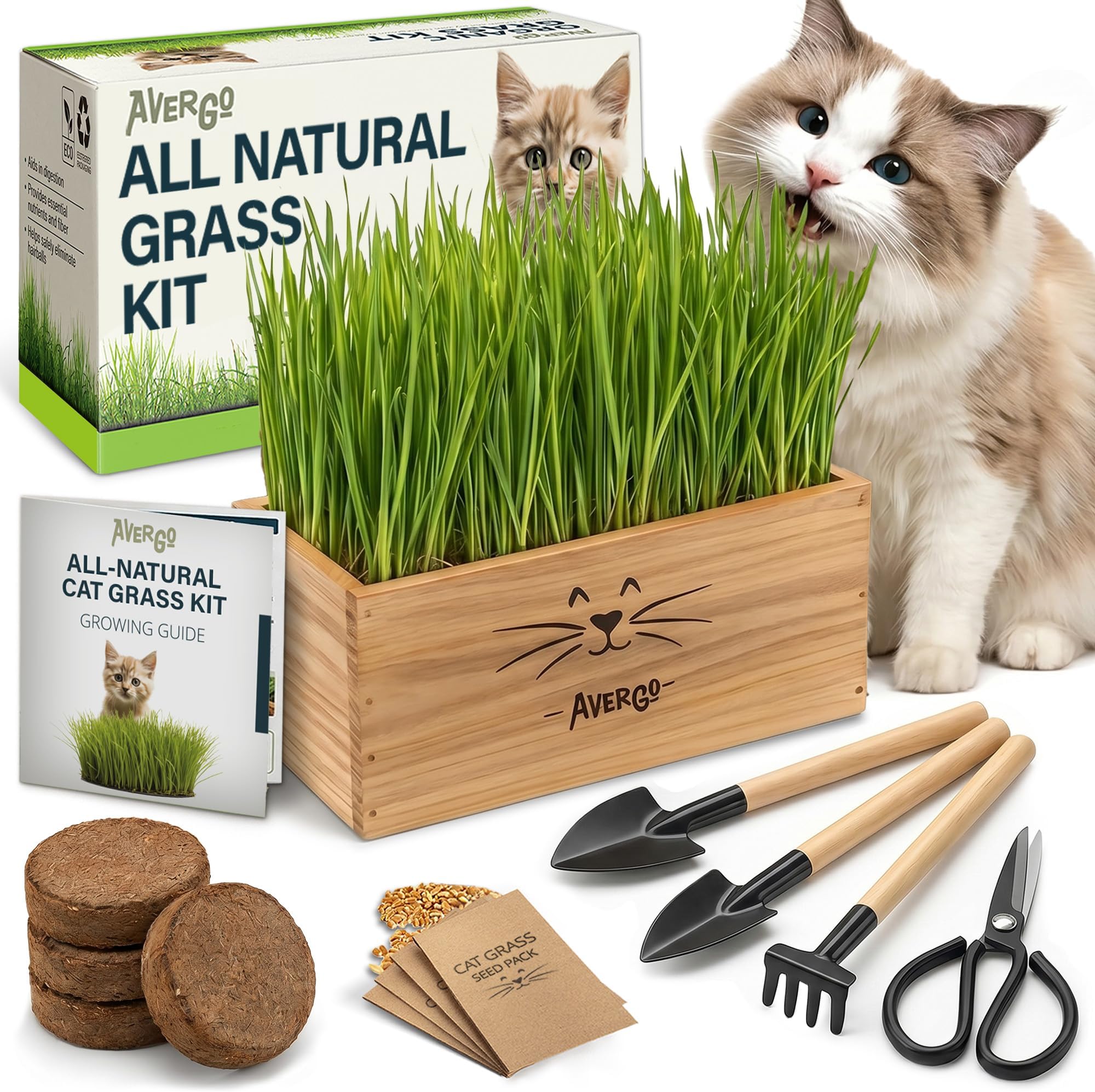 Cat Grass Kit for Indoor Cats – x4 Seed Packets | Cat Grass Seeds with Wooden Planter, Soil & Mini Gardening Tools for Nipping & Nibbling – Pet Wheatgrass Grass