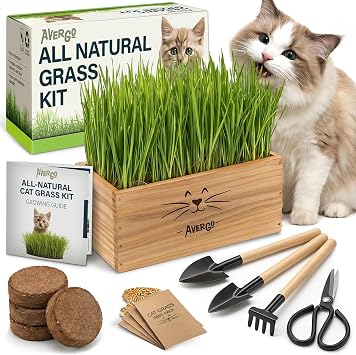 Cat Grass Kit for Indoor Cats x4 Seed Packets | Cat Grass Seeds with Wooden Planter, Soil & Mini Gardening Tools for Nipping & Nibbling Pet Wheatgrass Grass