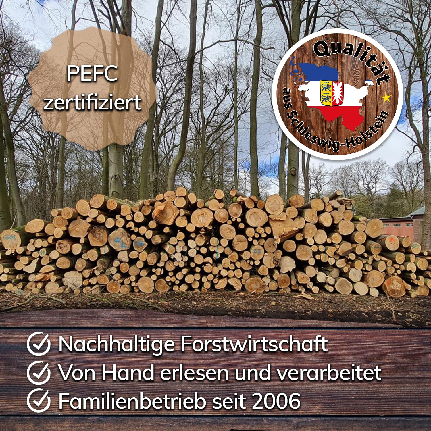Landree Kaminholz Buche 20 kg für Kamin, Kaminofen, Lagerfeuer, Feuerschale und Ofen, 20-25 cm Scheitlänge, kammergetrocknet, Holz, Brennholz, Wood vom Familien-Holzhof aus Schleswig Holstein