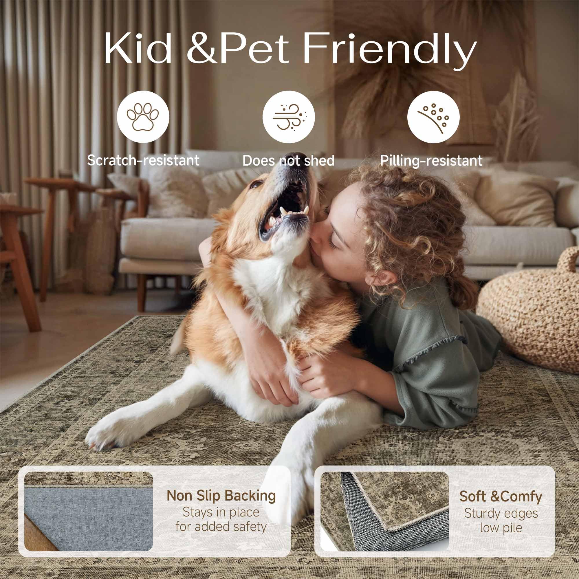 Amazon.com: WondRg 9x12 Brown Vintage Area Rug for Living Room