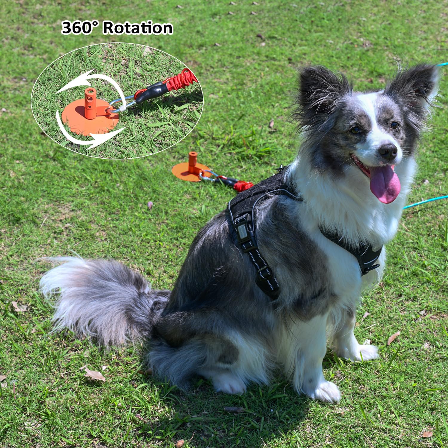 Amazon.com: Tyalez Dog Stakes for Outside Heavy Duty Hold up to 350Lbs  Large Dogs Tie Out Tether Leash Chain for Yard Screw in Ground Anchors  17inch with Buffer Rope, Blue : Pet