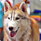 Dog Breeds Game: Ultimate Dog Breed Knowledge Test