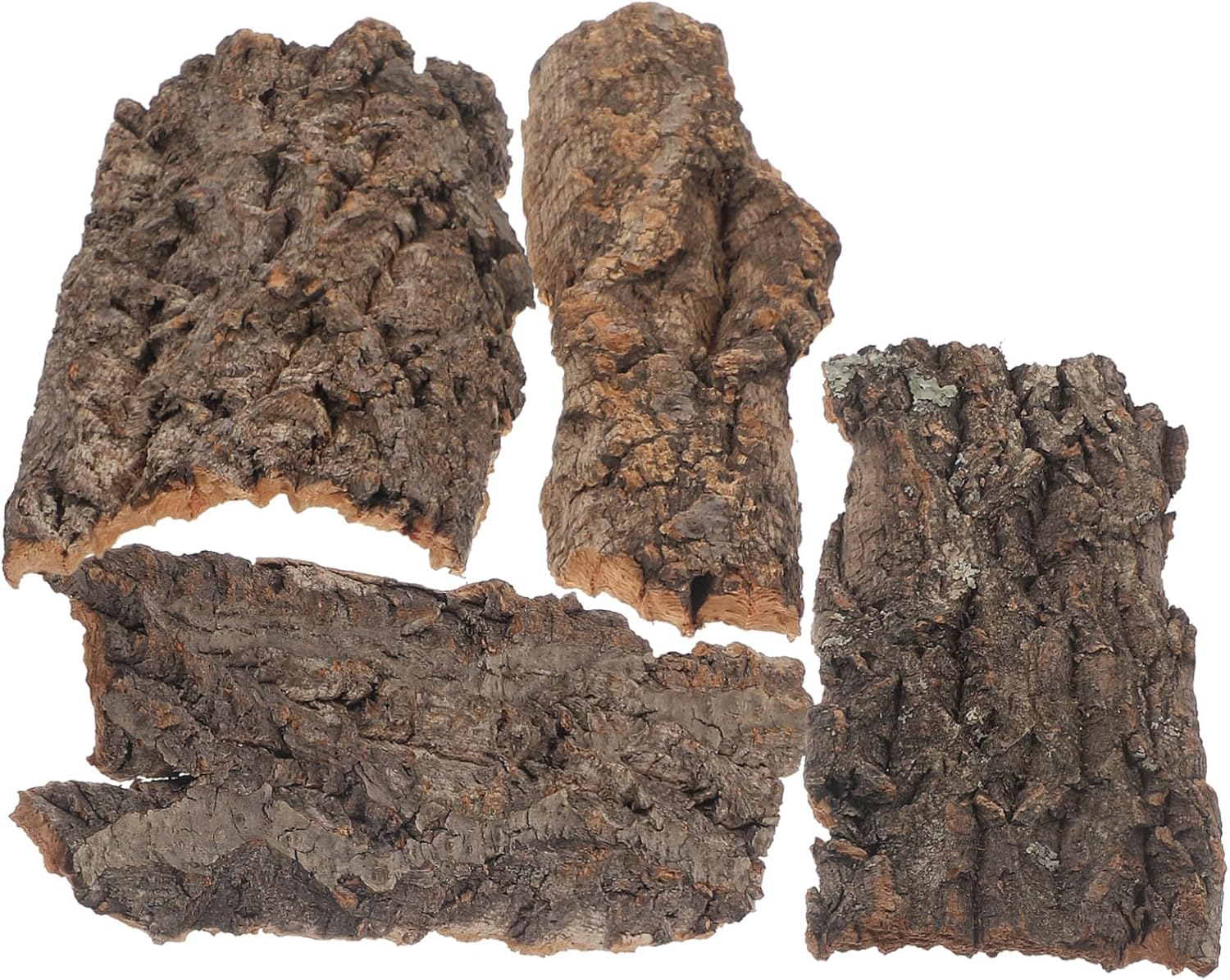 Beavorty 4pcs Reptile Bark Decoration Reptile Cork Bark Tree Bark for Reptile Bark