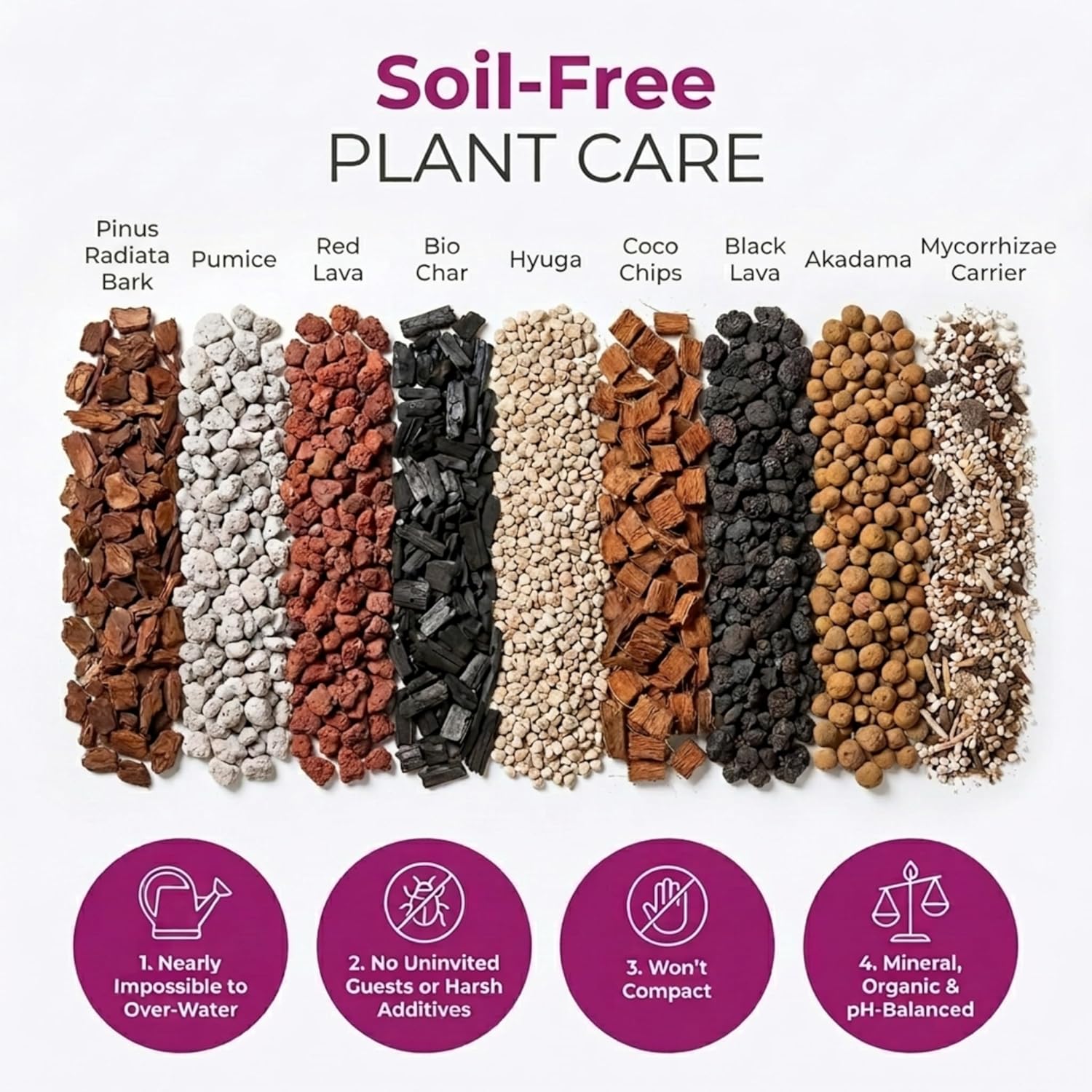 Molly's Orchid Potting Mix - Premium Gritty Soilless Orchid Mix - Chunky High Drainage vs Standard Potting Soil for Indoor Plants - Contains Bark, Coco Chips, Akadama, Pumice, Lava Rock 3 Dry Quarts