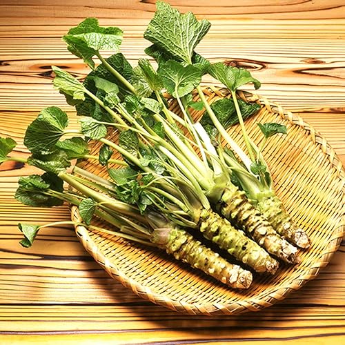 Miniatura 9 de Especias Parent