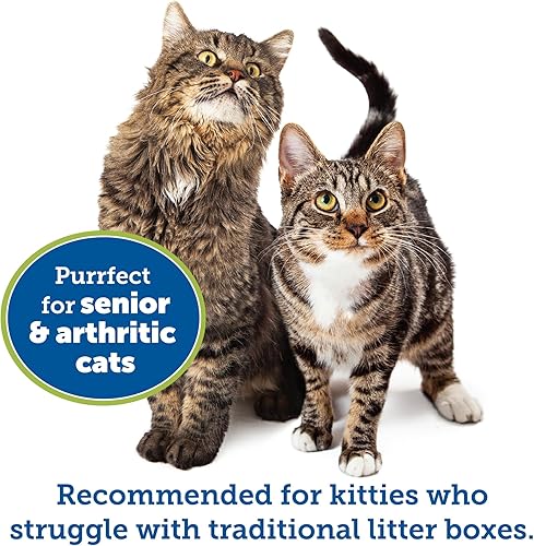 Miniatura 3 de KittyGoHere - Caja de arena para gatos mayores, tamaño grande, color azul, duradera y segura para mascotas, entrada baja de 3 pulgadas y mucho más