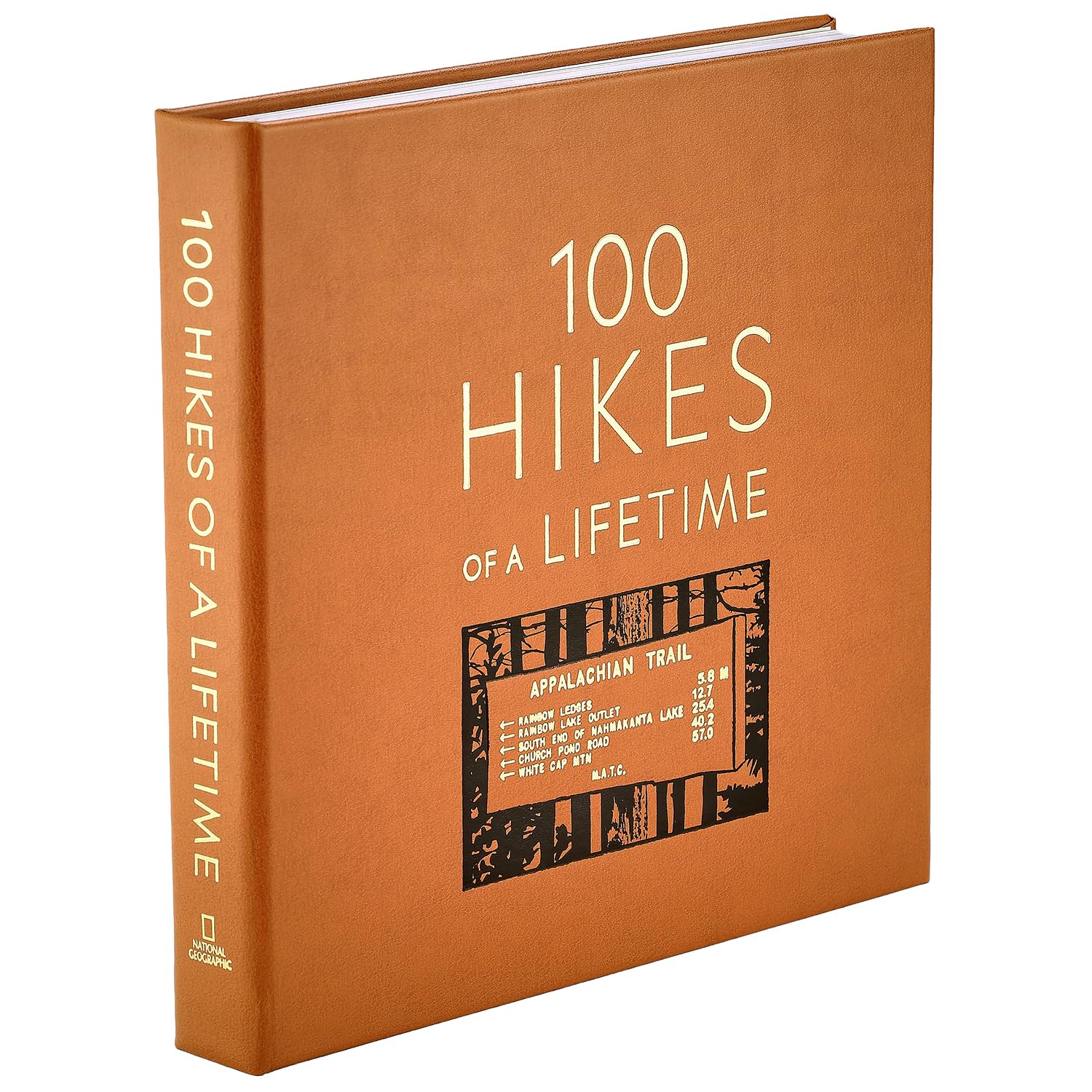 100 randonnées d'une vie : les sentiers pittoresques ultimes du monde – Graphic Image Leather Bound Tan – Édition de collection fine – Fabriqué aux États-Unis