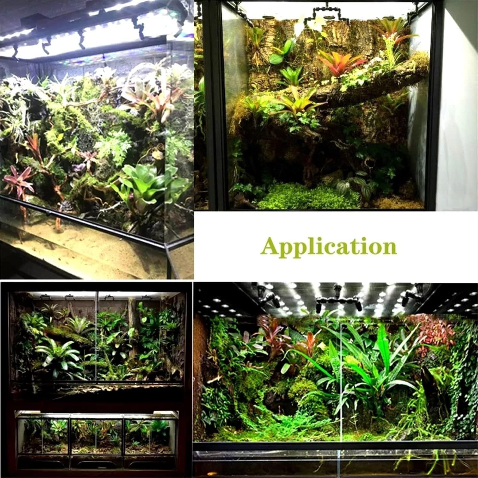 Pudełko Do Karmienia Szklane, Przezroczyste Pudełko Do Karmienia I Hodowli Gadów Terrarium Dla Gadów(45x60cm)