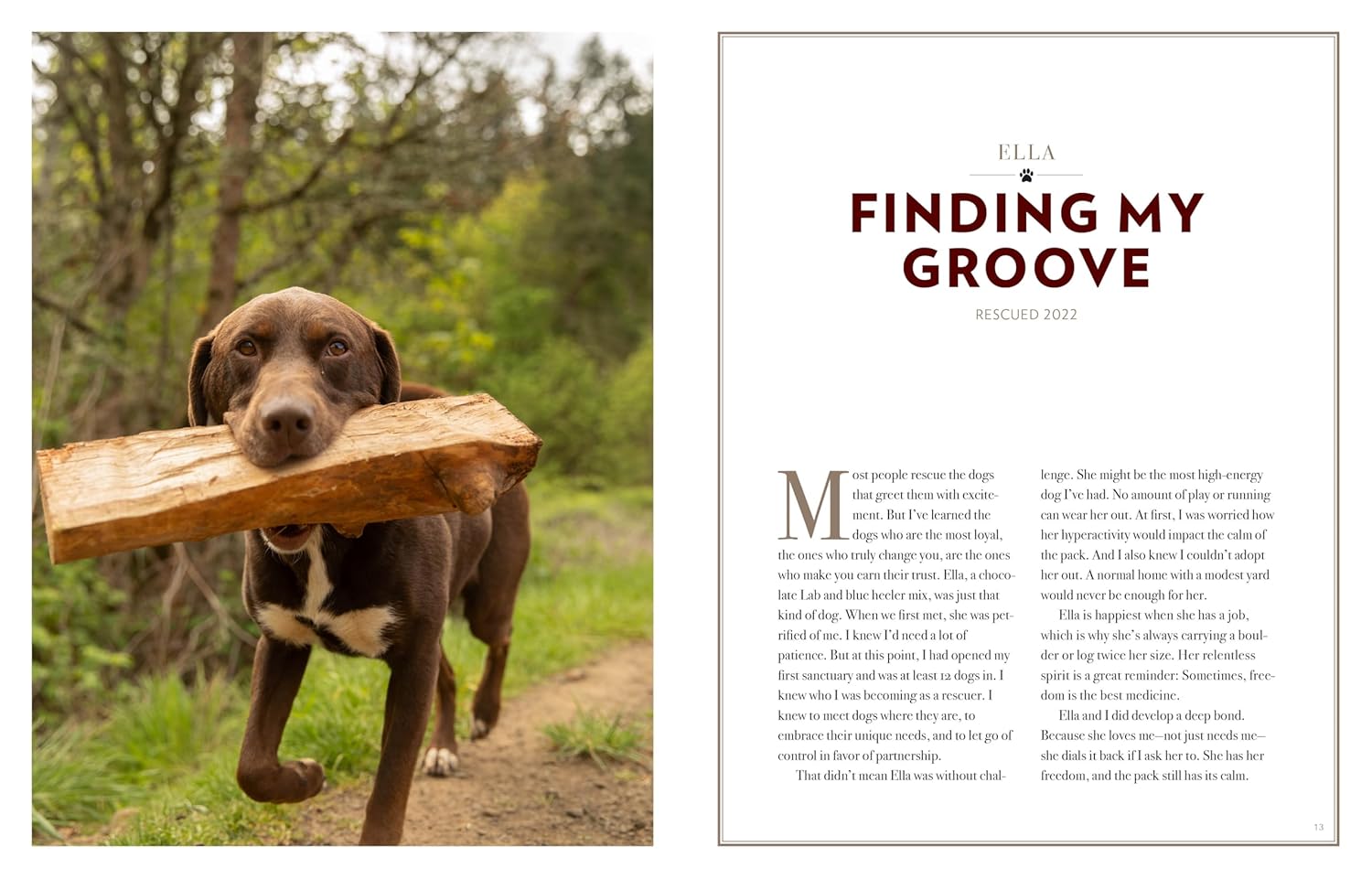 Saved by the Pack: How 50 Dogs Helped Me Find My Purpose      Hardcover – September 29, 2026