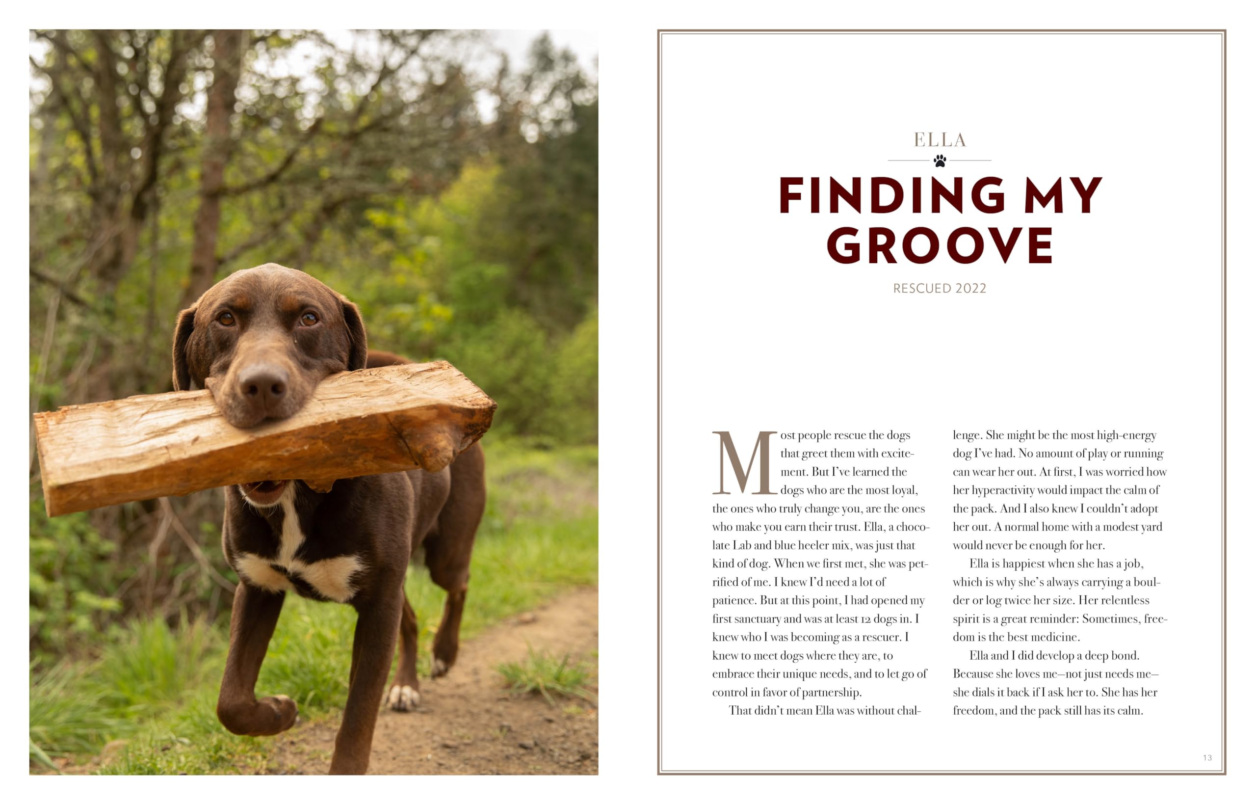 Saved by the Pack: How 50 Dogs Helped Me Find My Purpose