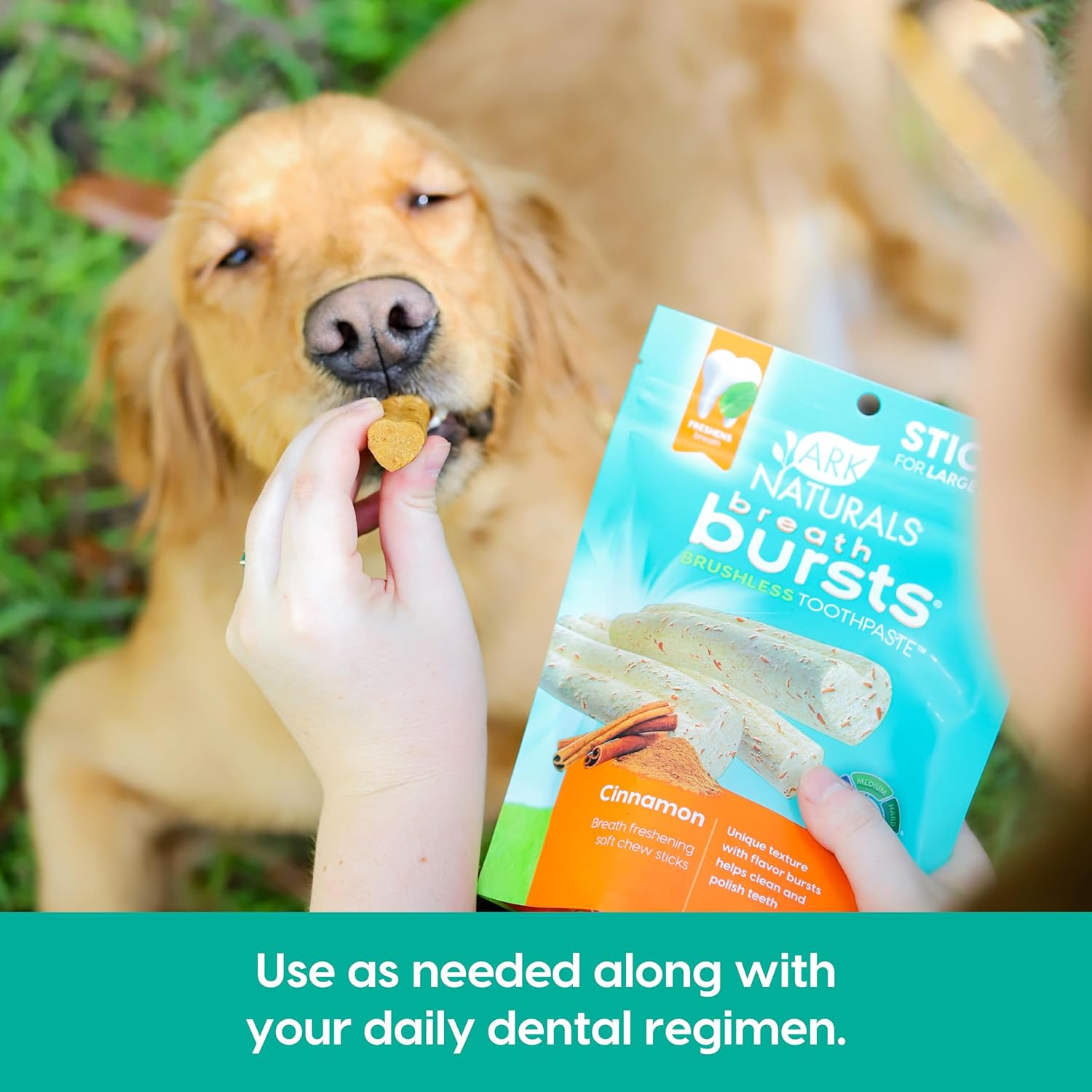 ARK Naturals Breath Bursts Dog Treats, Dog Dental Sticks for Large Breeds, Unique Texture Helps Clean Teeth & Freshen Breath, Cinnamon, 6 oz, 1 Pack